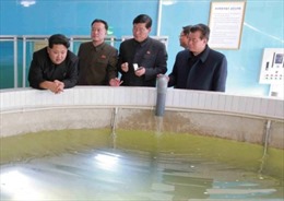 Ông Kim Jong Un thăm trại nuôi cá của quân đội 